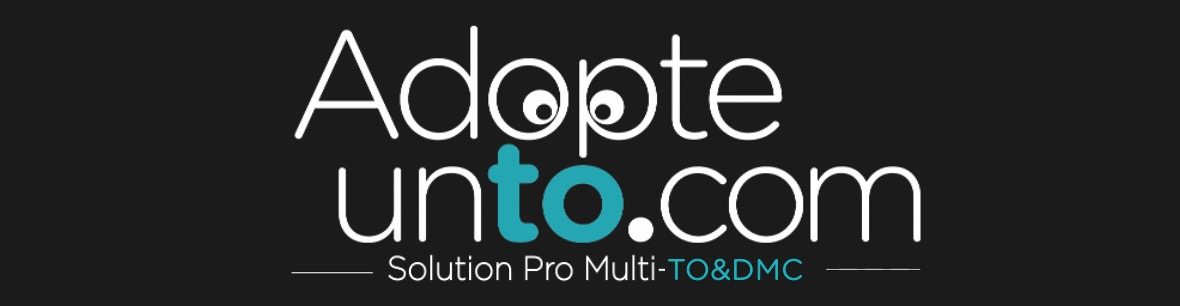AdopteunTO.com, Solution Pro Multi-TO & DMC